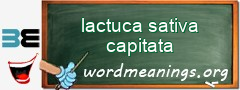 WordMeaning blackboard for lactuca sativa capitata